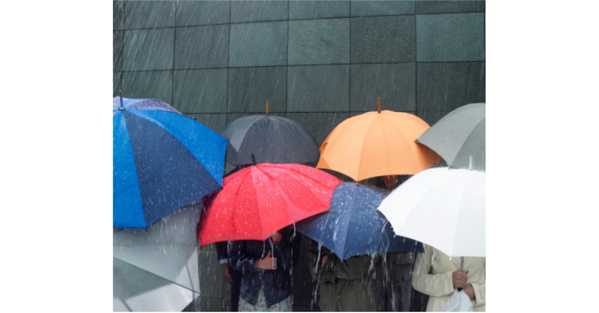 強風中也不會反! 日本特製雨傘