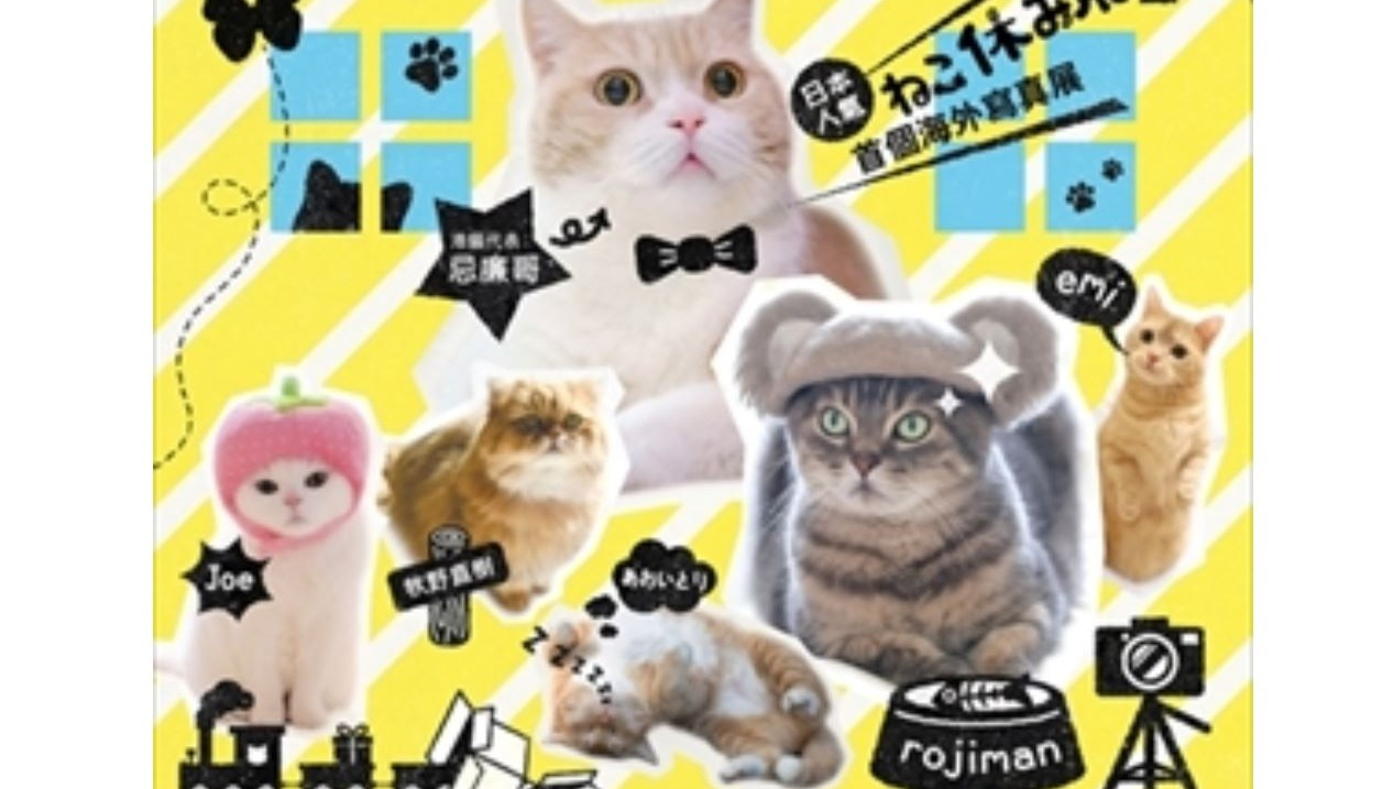 HappyMEOWmentの貓貓寫真展 由東京來到香港啦!