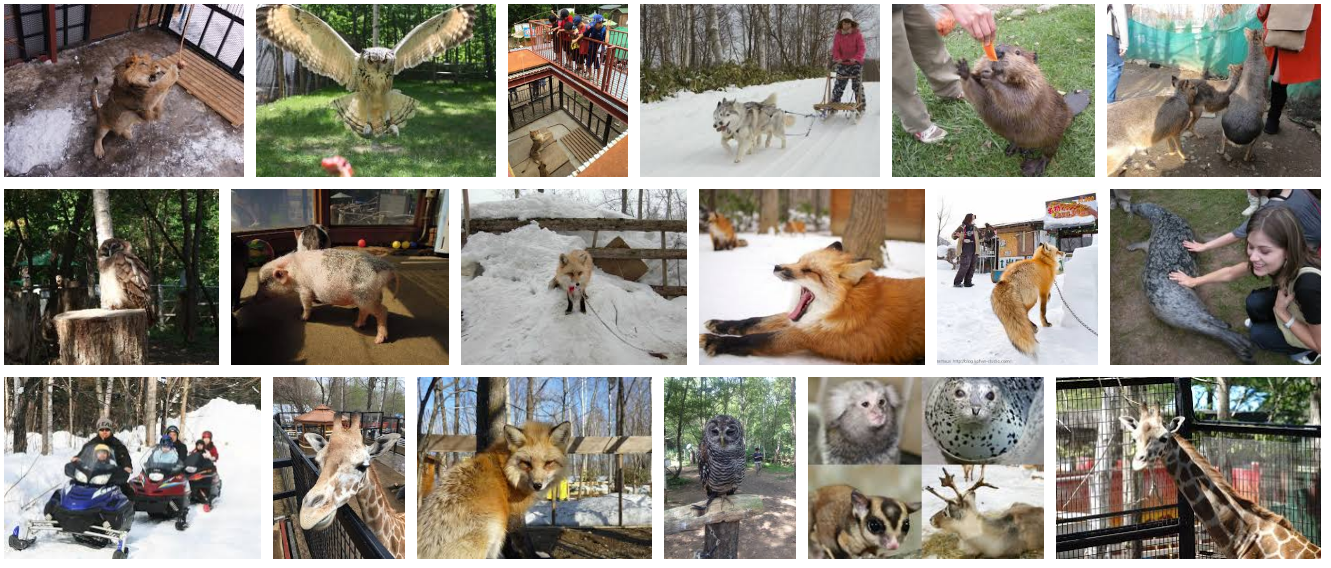 進動物園前要簽生死狀？！NORTH SAFARI SAPPORO “北動物園札幌”