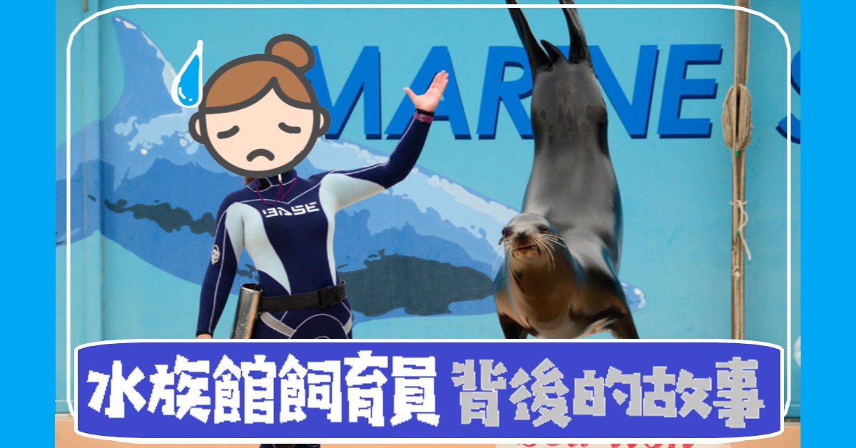 看似簡單? 水族館飼育員告訴你不知道的事!