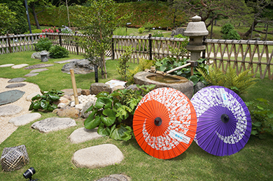 【日本旅遊攻略】東京免費借用和傘活動，附送折紙傳單～