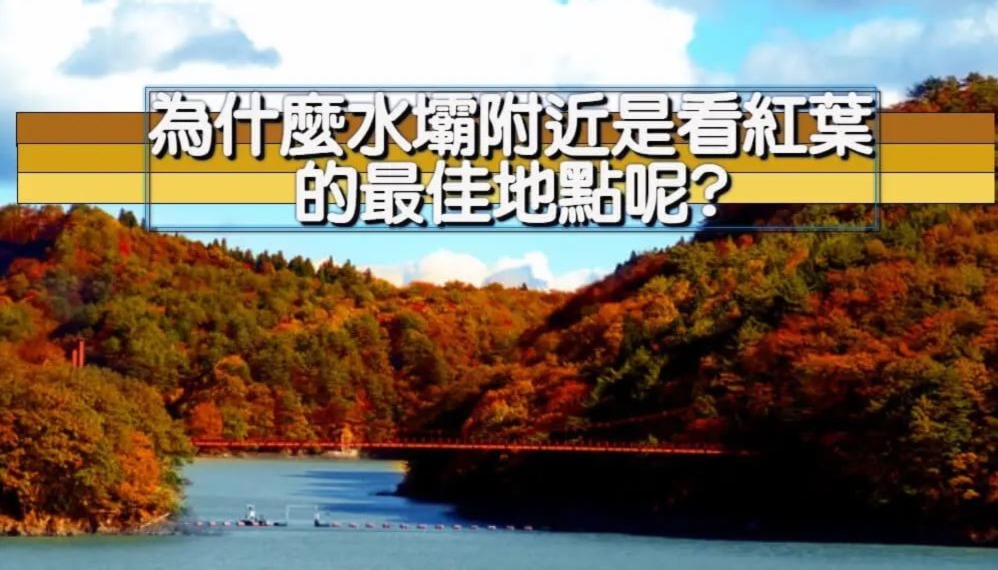 為什麼水壩附近是看紅葉的最佳地點呢?