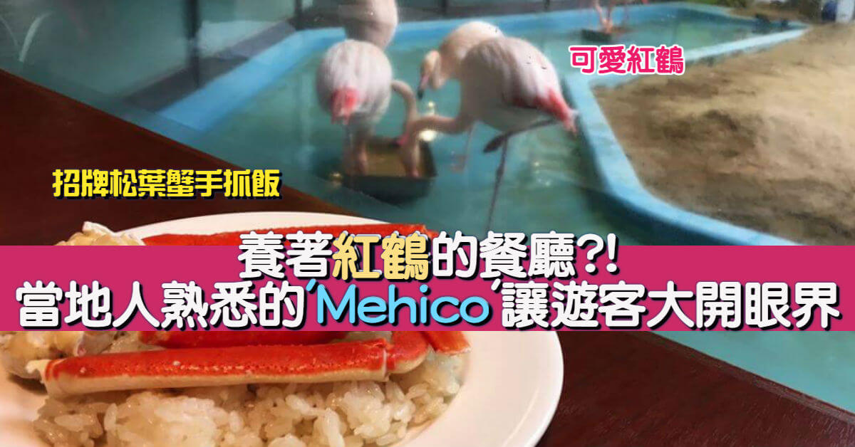 養著紅鶴的餐廳?! 當地人熟悉的’Mehico’讓遊客大開眼界