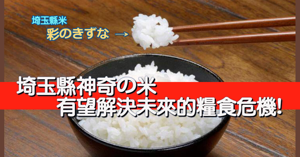 埼玉縣神奇の米 有望解決未來的糧食危機