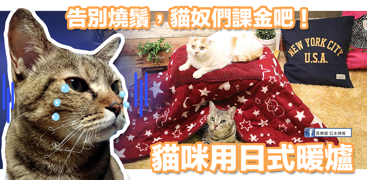 貓奴們課金吧！貓咪用日式暖爐